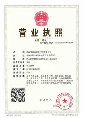 武汉爱维迪财务代理