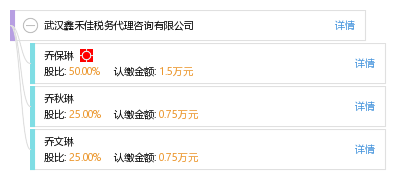 武汉鑫禾佳税务代理咨询：专业税务代理服务助力企业发展