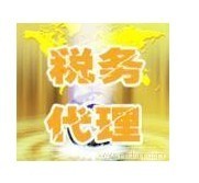 武汉专业代理记账报税，高效专业服务助力企业发展