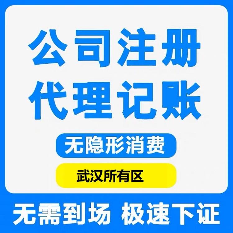 武汉工商执照代办及正规代账服务全方位指南