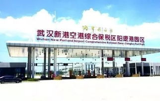 阳逻综保区进口商品展示中心启航 武汉人足不出户买遍全球