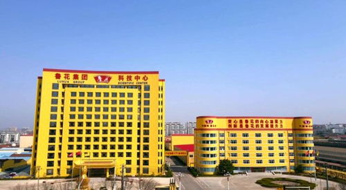 40年如一日,鲁花以品质书写 国货之光