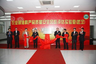 中国农业科学院油料作物研究所如何高效选择武汉税务代理服务